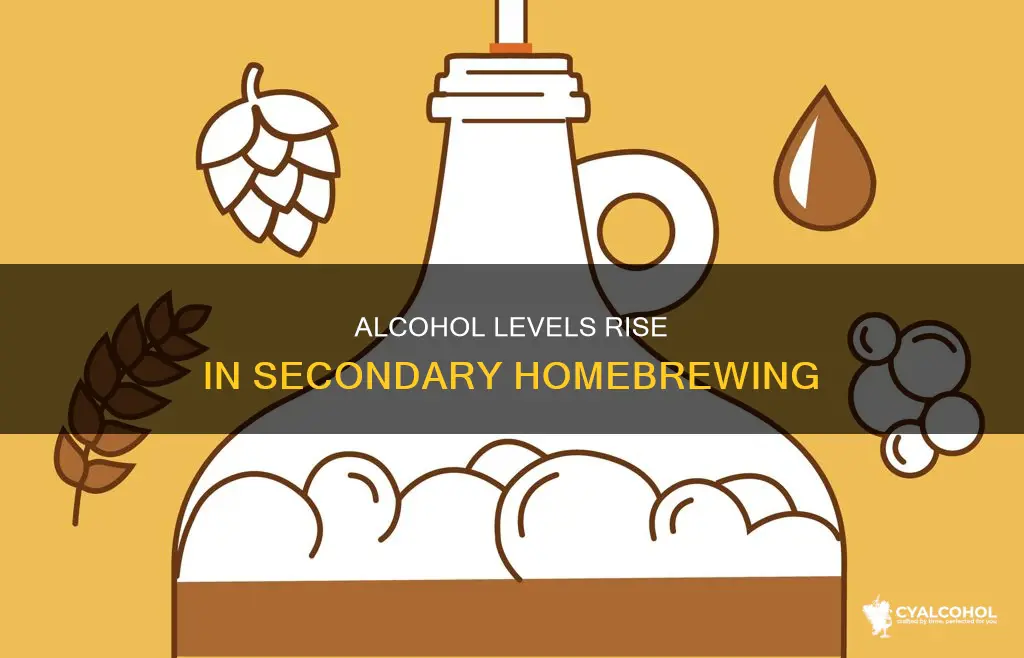 does alcohol continue to rise in seconday when homebrewing
