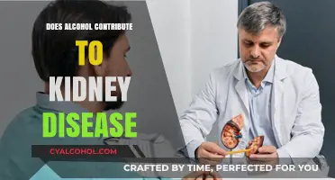Alcohol and Kidney Health: Uncovering the Link to Disease Risk