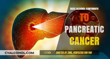 Alcohol and Pancreatic Cancer: Uncovering the Risky Connection
