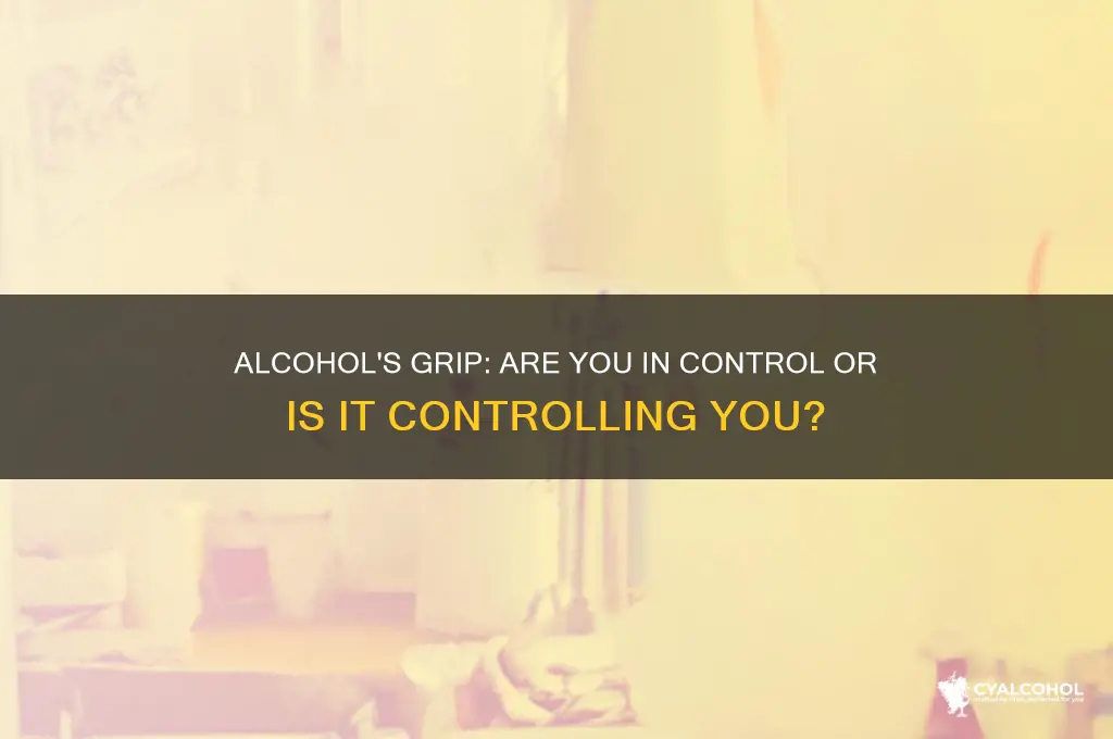 does alcohol control you