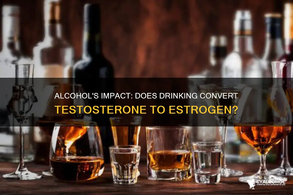 does alcohol convert testosterone to estrogen