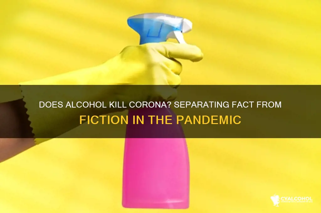 does alcohol corona