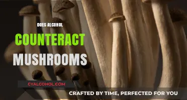 Alcohol and Mushrooms: Potential Risks and Interactions Explained