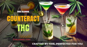 Alcohol and THC Interaction: Does Drinking Counteract Cannabis Effects?