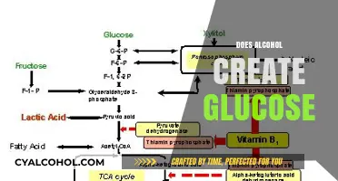 Alcohol and Glucose: Unraveling the Metabolic Connection and Impact on Blood Sugar