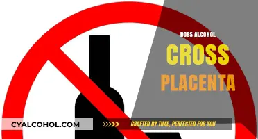 Alcohol and Pregnancy: Understanding Placental Barrier Risks for Baby