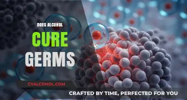 Alcohol and Germs: Separating Fact from Fiction in Sanitization