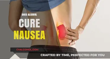 Alcohol and Nausea: Debunking Myths and Understanding the Risks