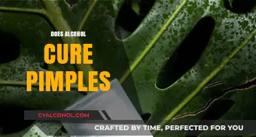 Alcohol and Acne: Myth or Miracle Cure for Pimples?