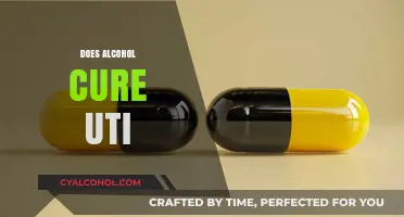 Alcohol and UTIs: Debunking Myths and Understanding Effective Treatments