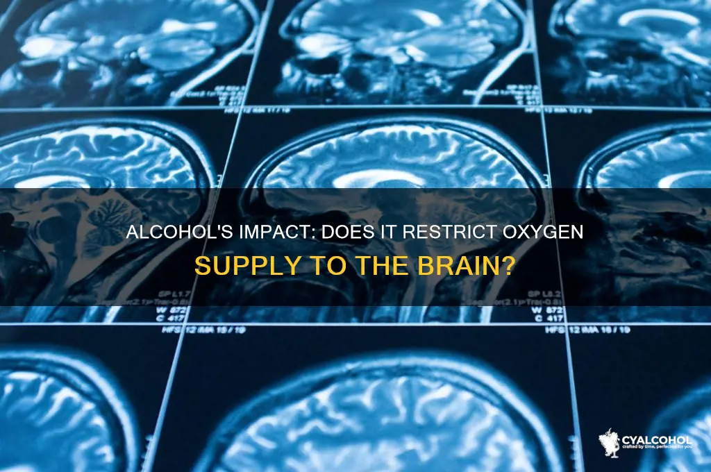does alcohol cut off oxygen to the brain