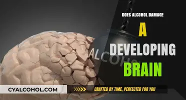 Alcohol's Impact on the Developing Brain: Risks and Long-Term Effects