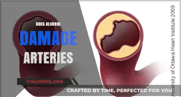 Alcohol's Impact on Arterial Health: Uncovering the Hidden Risks
