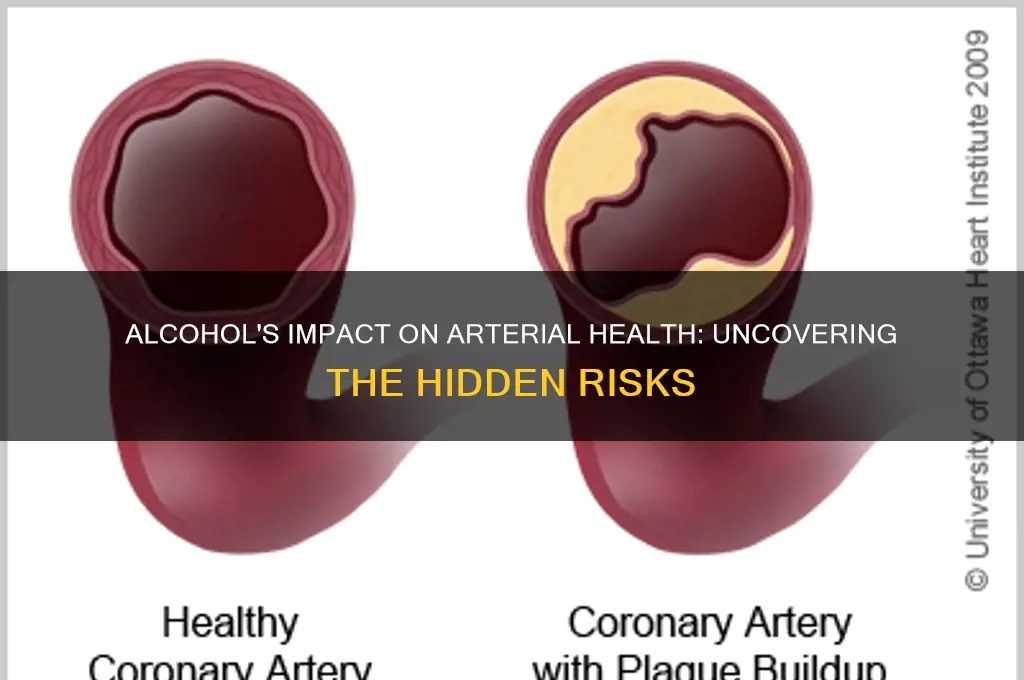does alcohol damage arteries