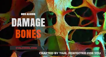 Alcohol's Impact on Bone Health: Uncovering the Hidden Risks