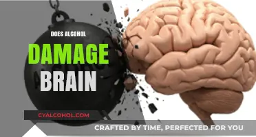 Alcohol's Impact on Brain Health: Uncovering the Hidden Dangers