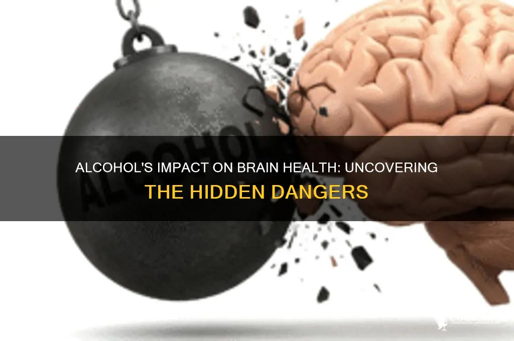 does alcohol damage brain