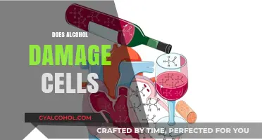 Alcohol's Impact: Uncovering Cellular Damage and Long-Term Health Risks