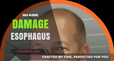 Alcohol and Esophageal Health: Uncovering the Risks of Damage