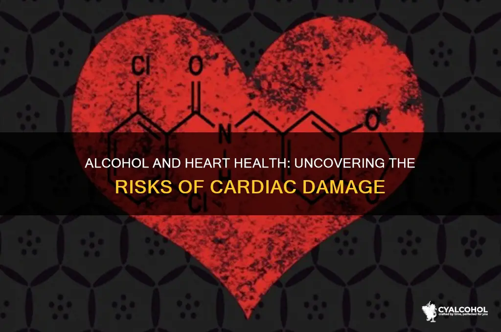 does alcohol damage heart