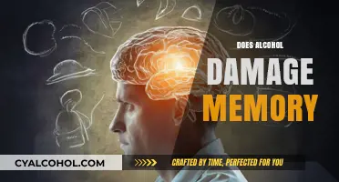 Alcohol's Impact on Memory: Uncovering the Truth Behind Memory Loss