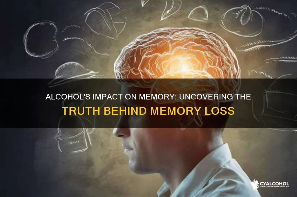 does alcohol damage memory