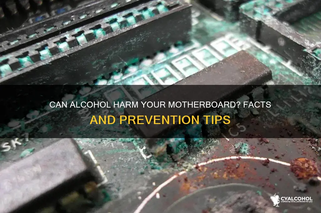 does alcohol damage motherboard