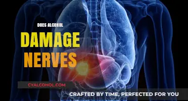 Alcohol's Impact: Uncovering the Truth About Nerve Damage and Health