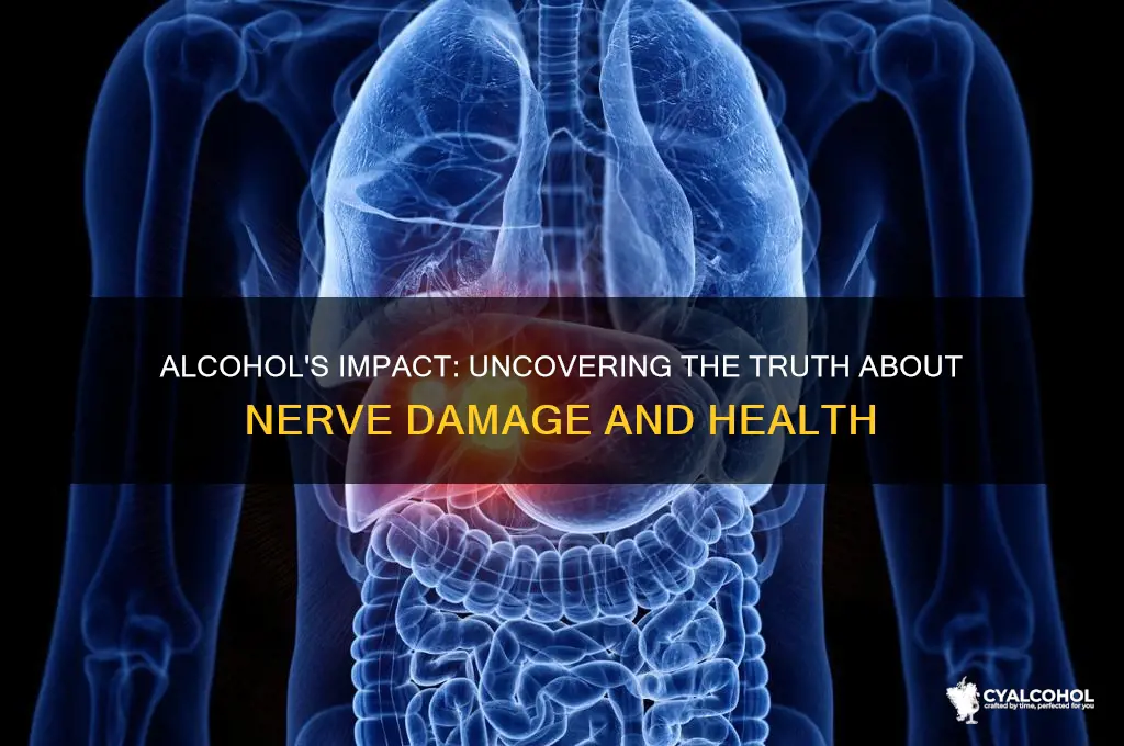 does alcohol damage nerves