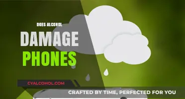 Can Alcohol Harm Your Phone? Surprising Facts You Need to Know