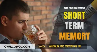 Alcohol's Impact: How Drinking Affects Short-Term Memory Function
