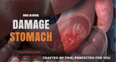Alcohol's Impact on Stomach Health: Risks, Effects, and Prevention Tips