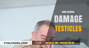 Alcohol's Impact on Testicular Health: Risks and Long-Term Effects