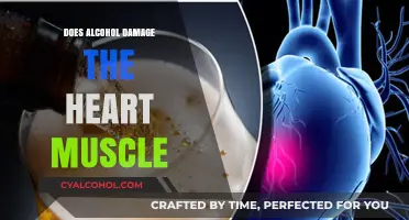 Alcohol's Impact: Uncovering Heart Muscle Damage Risks and Prevention