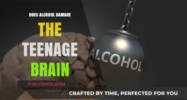 Alcohol's Impact on the Developing Teenage Brain: Risks and Consequences