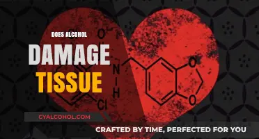 Alcohol's Impact: How Drinking Damages Body Tissues Over Time