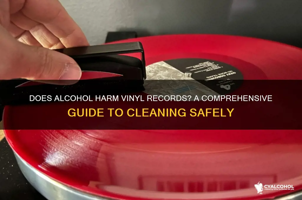 does alcohol damage vinyl