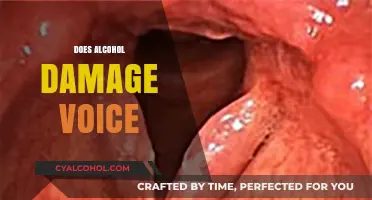 Alcohol's Impact on Vocal Health: Does Drinking Harm Your Voice?