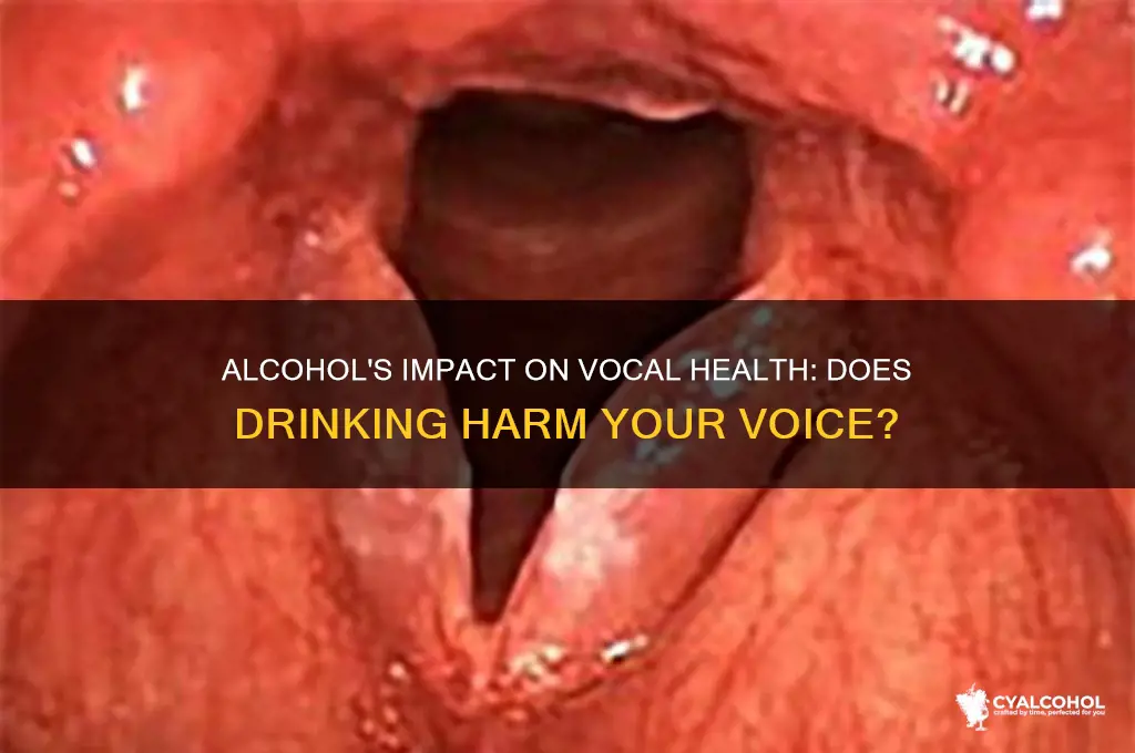 does alcohol damage voice