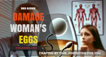 Alcohol and Female Fertility: Does Drinking Harm Women's Eggs?