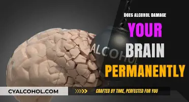 Alcohol's Long-Term Effects: Can Brain Damage Be Permanent?