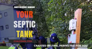 Alcohol's Impact on Septic Tanks: Potential Damage and Maintenance Tips
