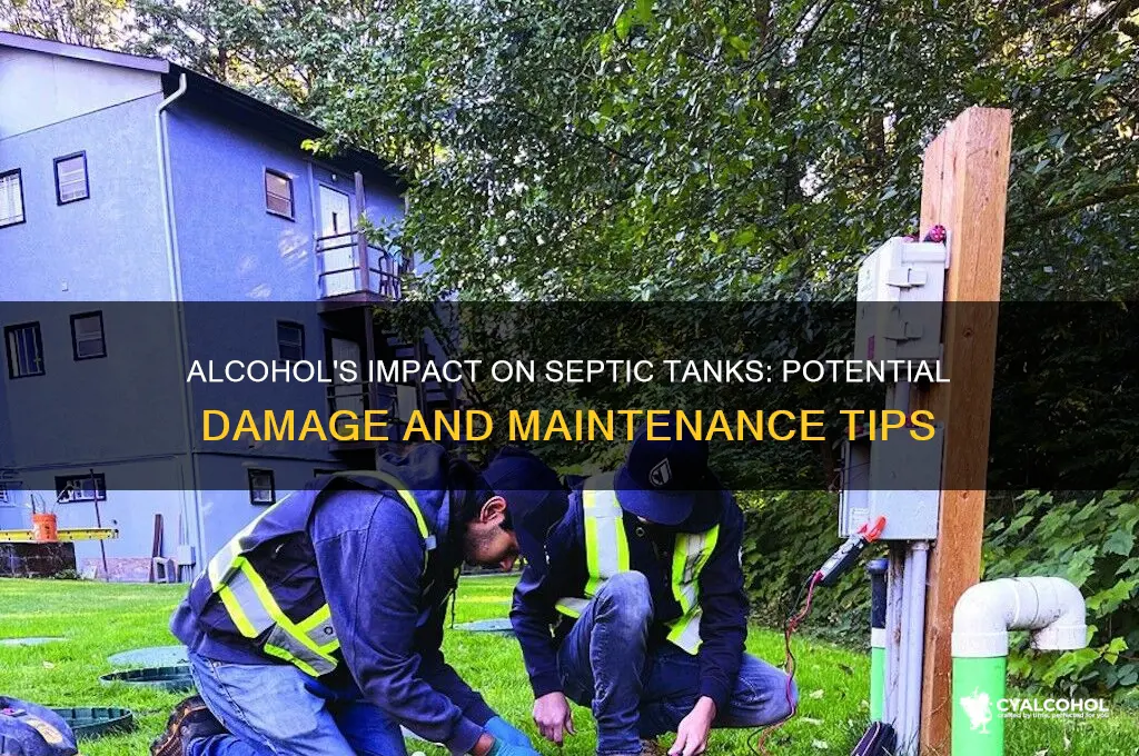 does alcohol damage your septic tank