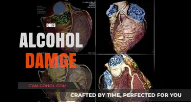 Does Alcohol Damage Your Health? Uncovering the Truth and Risks