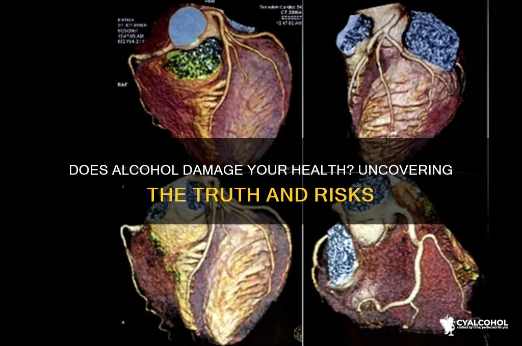 does alcohol damge