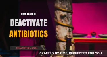 Alcohol and Antibiotics: Understanding the Interaction and Potential Risks