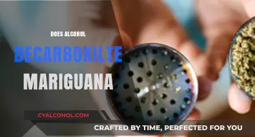Alcohol and Marijuana: Does Decarboxylation Occur in Alcohol-Based Infusions?