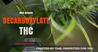 Does Alcohol Decarboxylate THC? Unraveling the Science Behind Edibles