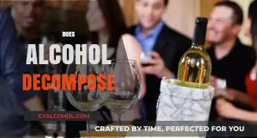 Does Alcohol Decompose? Exploring the Breakdown Process and Factors