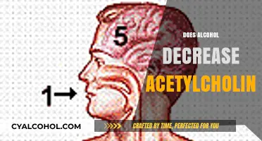 Alcohol's Impact on Acetylcholine: Unraveling the Brain Chemistry Connection